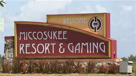 Casino miccosukee - Presently, the Miccosukee Indians run the Miccosukee Tribe Resort and Gaming hotel located in Miami, Dade County, built on the land they owned, consisting of 302 rooms. The hotel offers a casino, indoor pool, golf course, buffet and spa to its visitors, among other things. Language